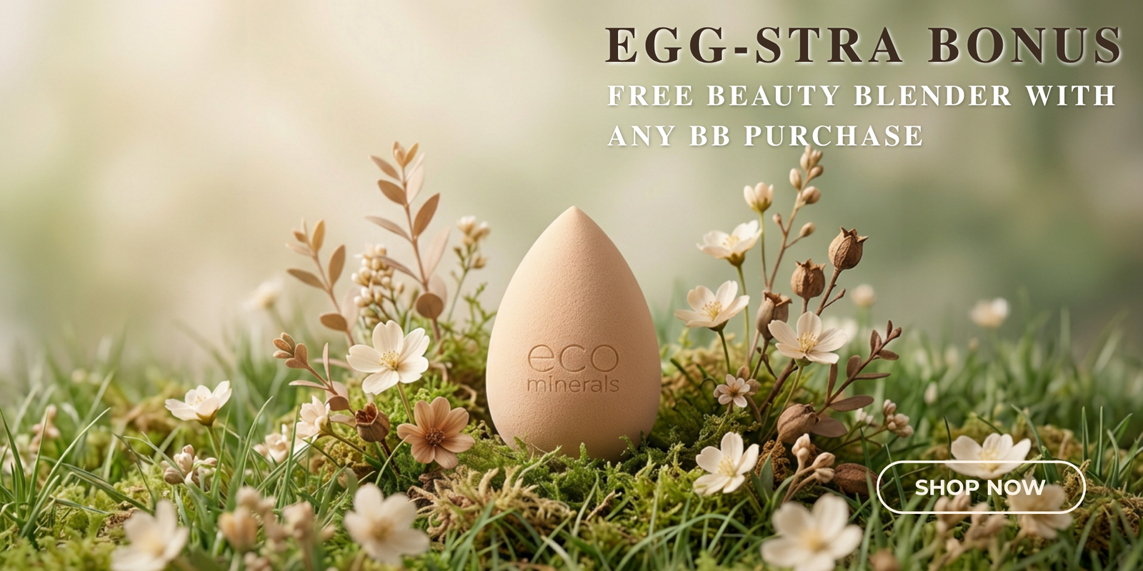 hero-image-template--25793989017906__image_banner_GCrJVm